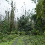 002a_after-cyclone_house-entrance